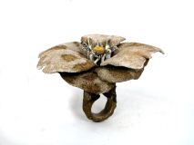 Arata Fuchi Ring 1 [1600x1200]