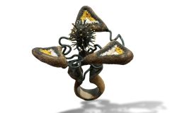 Arata Fuchi Ring 2 [1600x1200]