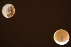 2013-Preziosa-foto-158