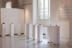 2017_05 PreziosaFJW_Selezione (41)