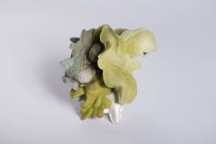 Image 1-Mimicry-My impression of the sea creatures,2015,Silver, paper, paint, stainless steel,80x65x45mm 1