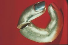 Homo Sapiens, spilla, 1975, oro giallo, rosa, bianco 4,7 x 1,3 cm [1600x1200]