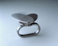 Ring 81-3_bew [1600x1200]