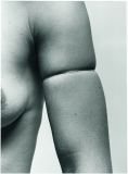 113_Model_Arm