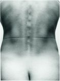113_Model_Waist