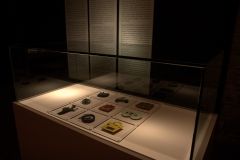 IMG_4554.CR2
