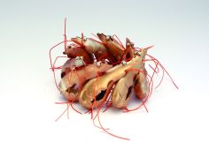 03scampi