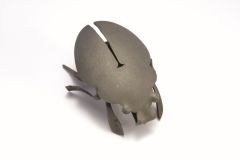 10dung beetle