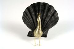 12peacock