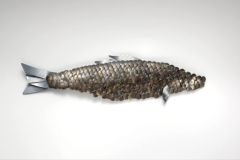 fish_0427