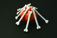 1. Brooch, 2008