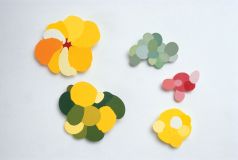 2002flatcolourleftTB