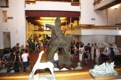 2013-Preziosa-foto-10