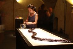 2013-Preziosa-foto-152