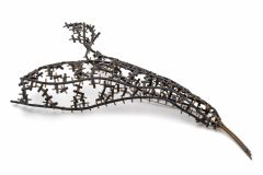 Bifei Cao-Slowly decaling