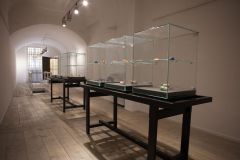 2015 Preziosa - FJW (36)