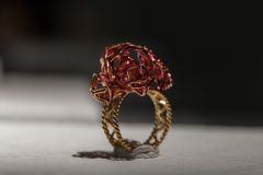 2017_05 PreziosaFJW_Selezione (21)