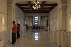 2017_05 PreziosaFJW_Selezione (38)